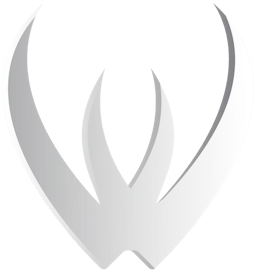 Webduel Logo