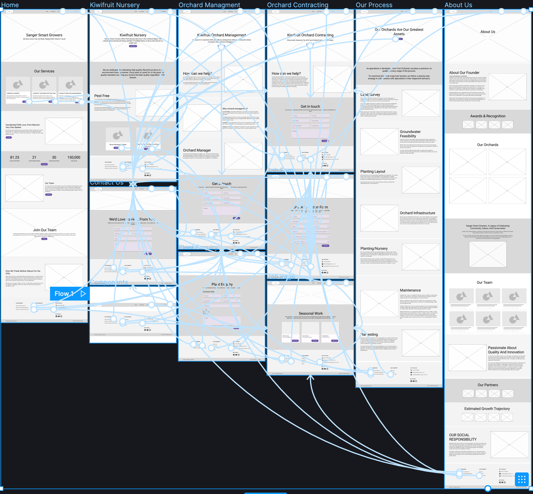 Wireframes